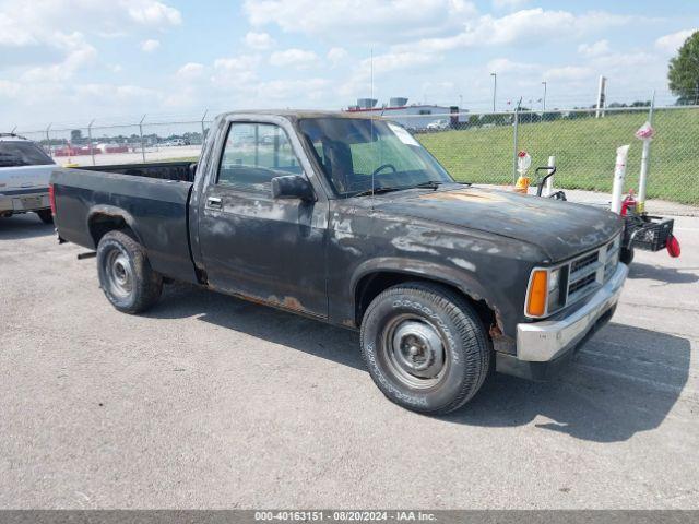  Salvage Dodge Dakota