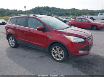  Salvage Ford Escape