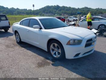  Salvage Dodge Charger