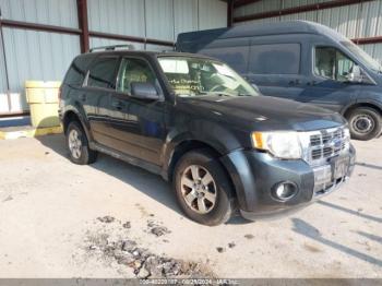  Salvage Ford Escape