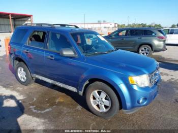  Salvage Ford Escape