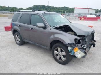  Salvage Ford Escape