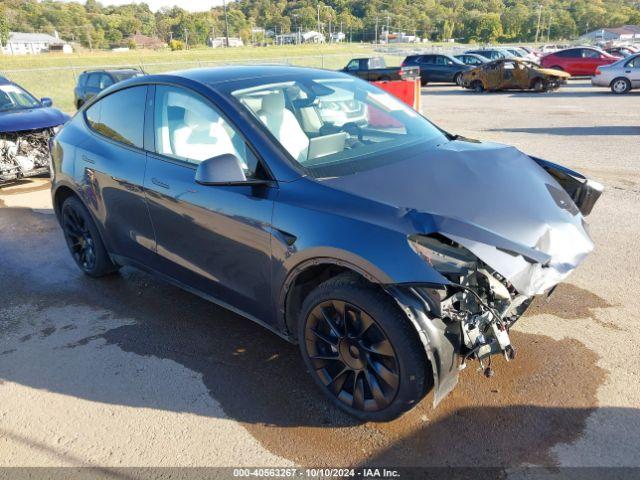  Salvage Tesla Model Y