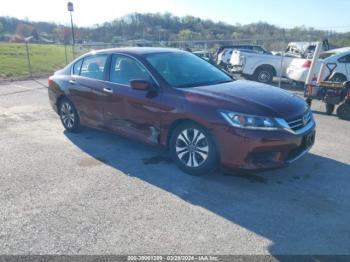  Salvage Honda Accord