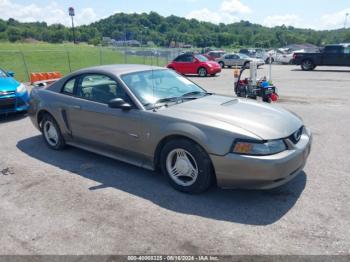  Salvage Ford Mustang