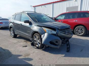  Salvage Ford Escape