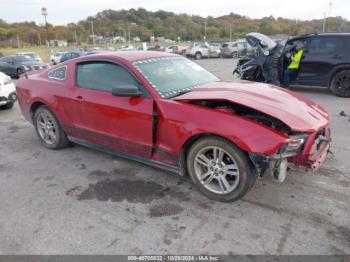  Salvage Ford Mustang