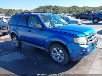  Salvage Ford Escape