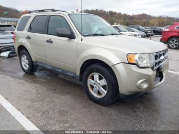  Salvage Ford Escape