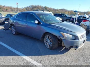  Salvage Nissan Maxima