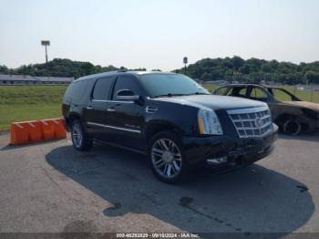  Salvage Cadillac Escalade