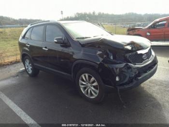  Salvage Kia Sorento