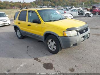  Salvage Ford Escape