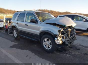  Salvage Ford Escape