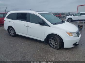  Salvage Honda Odyssey