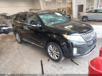  Salvage Kia Sorento