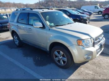  Salvage Ford Escape