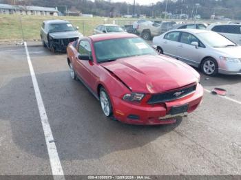  Salvage Ford Mustang