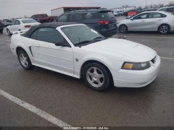  Salvage Ford Mustang