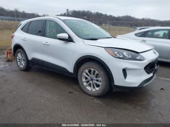  Salvage Ford Escape