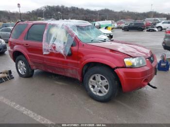  Salvage Ford Escape