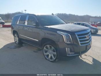  Salvage Cadillac Escalade