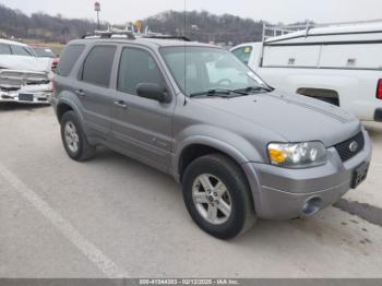  Salvage Ford Escape