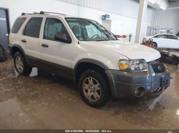  Salvage Ford Escape