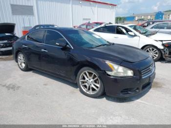  Salvage Nissan Maxima