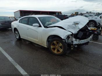  Salvage Dodge Charger