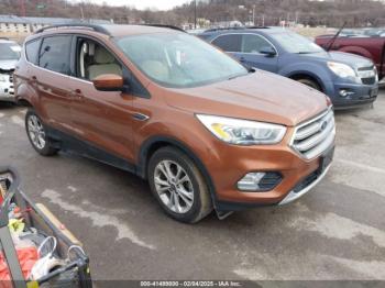  Salvage Ford Escape