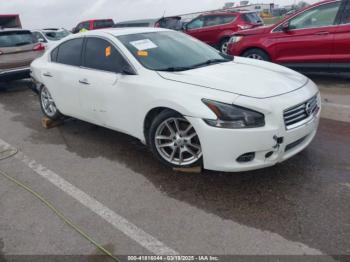  Salvage Nissan Maxima