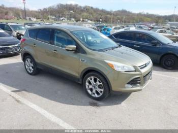  Salvage Ford Escape