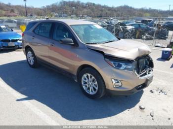  Salvage Chevrolet Equinox