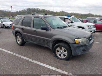  Salvage Ford Escape