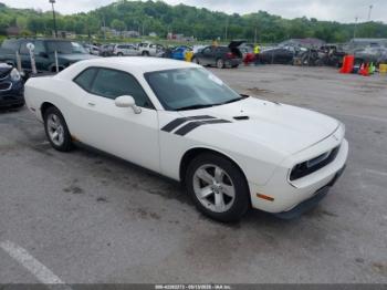  Salvage Dodge Challenger