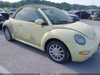  Salvage Volkswagen Beetle