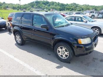  Salvage Ford Escape