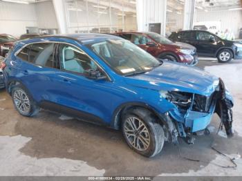  Salvage Ford Escape