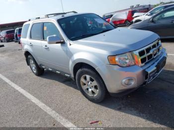  Salvage Ford Escape