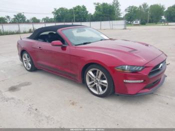  Salvage Ford Mustang
