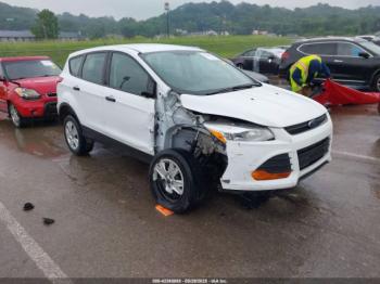  Salvage Ford Escape