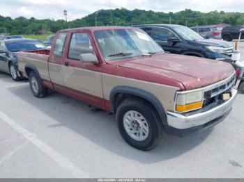  Salvage Dodge Dakota