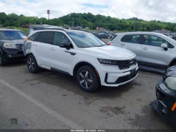  Salvage Kia Sorento