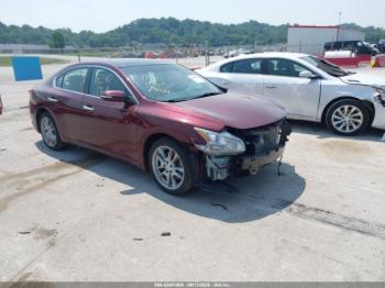  Salvage Nissan Maxima