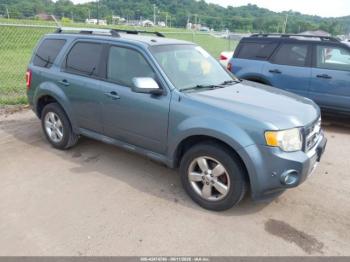  Salvage Ford Escape