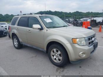  Salvage Ford Escape