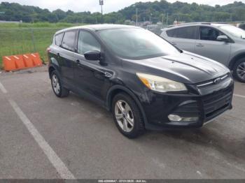  Salvage Ford Escape