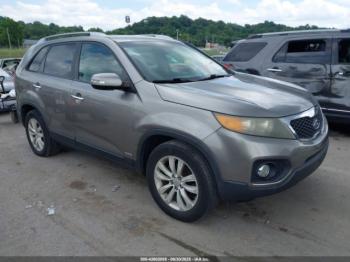  Salvage Kia Sorento