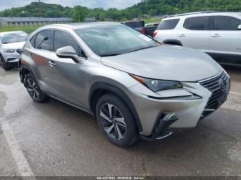  Salvage Lexus NX